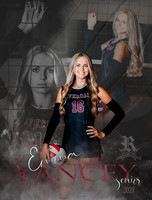 Volleyball Banners