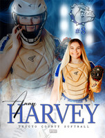 Banner Proofs